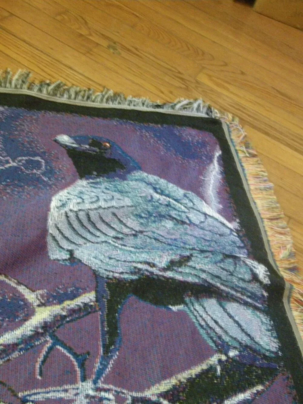 Baltimore Ravens NFL Football Throw Blanket Fringe Edges Tailgating Stadium